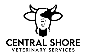 Central-Shore-veternarian-services